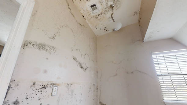 Best Residential Mold Inspection & Testing  in Orosi, CA