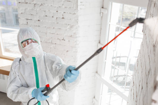 Best Environmental Consulting for Mold Prevention  in Orosi, CA