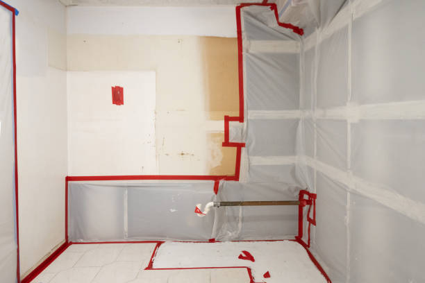 Best Real Estate Mold Inspection  in Orosi, CA