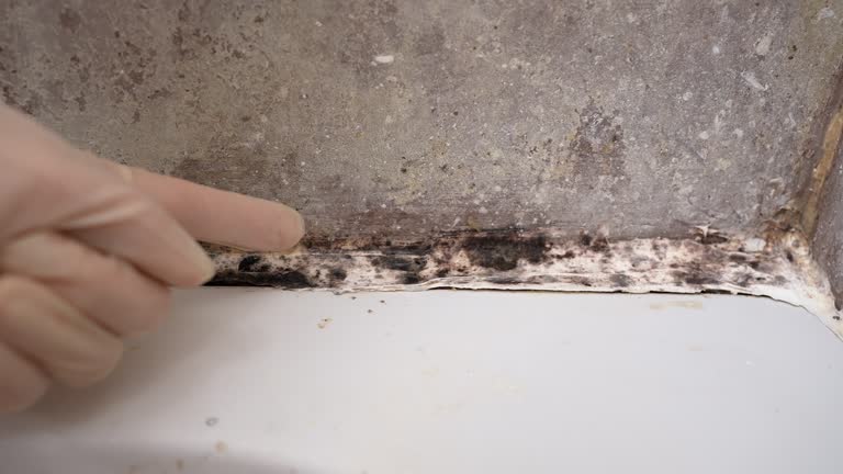 Best Biohazard Mold Removal  in Orosi, CA